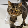 3D-Printed Arm-Inspired Neck Accessory for Cats and Dogs
