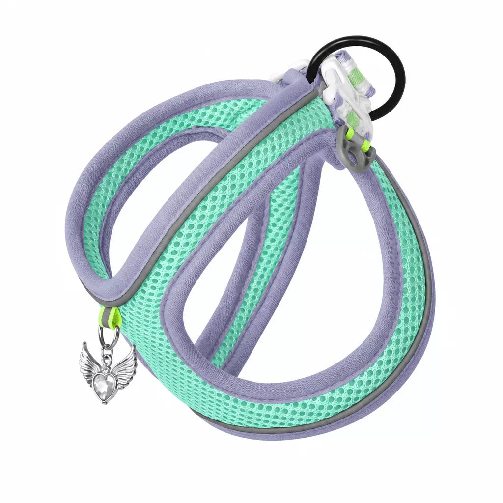 Adjustable Dog Harness with 4.6-ft Leash for Small Dogs