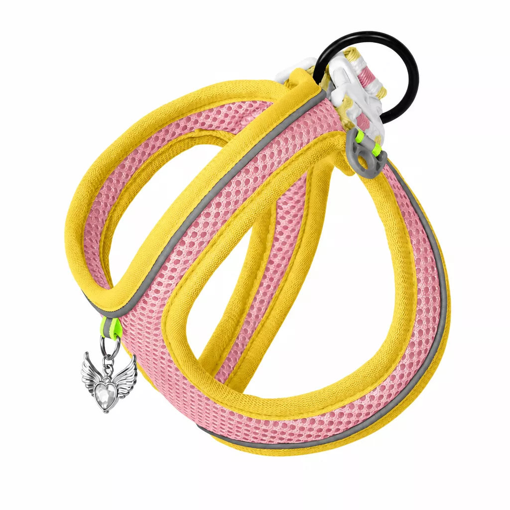 Adjustable Dog Harness with 4.6-ft Leash for Small Dogs