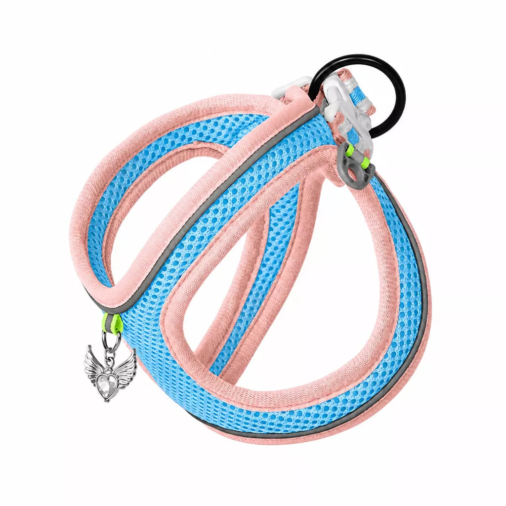 Adjustable Dog Harness with 4.6-ft Leash for Small Dogs