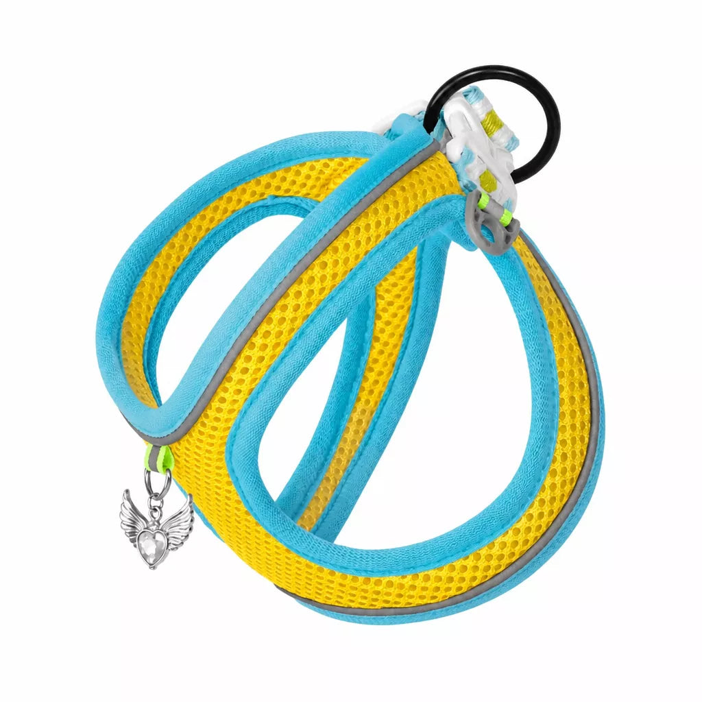 Adjustable Dog Harness with 4.6-ft Leash for Small Dogs