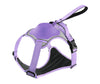 Pet Harness Vest with Leash