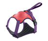Pet Harness Vest with Leash