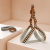 Small Dog Harness and Leash