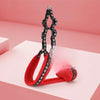 Small Dog Harness and Leash