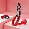 Small Dog Harness and Leash