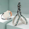 Small Dog Harness and Leash