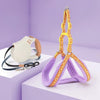 Small Dog Harness and Leash