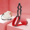 Small Dog Harness and Leash