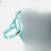 Dog Harness for Everyday Walks