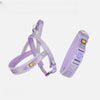 Dog Harness for Everyday Walks