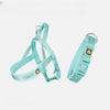 Dog Harness for Everyday Walks