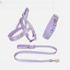 Dog Harness for Everyday Walks