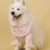 Summer Dog Shirt with Bib Front and Optional Elbow Sleeves