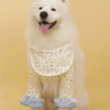 Summer Dog Shirt with Bib Front and Optional Elbow Sleeves