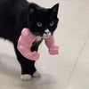 3D-Printed Arm-Inspired Neck Accessory for Cats and Dogs
