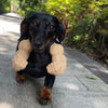 3D-Printed Arm-Inspired Neck Accessory for Cats and Dogs