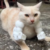 3D-Printed Arm-Inspired Neck Accessory for Cats and Dogs