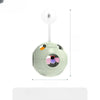 5-in-1 Planet Wobble Cat Toy with Teaser Wand