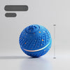 Interactive Automatic Bouncing Dog Toy Ball