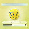 Floating Foam Ball Toy for Dogs