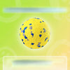 Floating Foam Ball Toy for Dogs