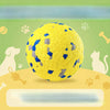 Floating Foam Ball Toy for Dogs