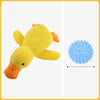 Squeaky Dog Toys for Puppies and Small to Medium Dogs