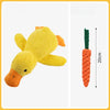 Squeaky Dog Toys for Puppies and Small to Medium Dogs