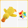 Squeaky Dog Toys for Puppies and Small to Medium Dogs