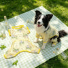 Lightweight Four-Leg Dog Shirt
