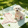 Lightweight Four-Leg Dog Shirt
