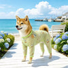 Breathable Mesh Four-Leg Dog Jumpsuit