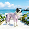 Breathable Mesh Four-Leg Dog Jumpsuit