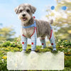 Dog One-Piece Walking Suit with Built-In Leg Covers