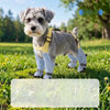 Dog One-Piece Walking Suit with Built-In Leg Covers