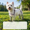 Dog One-Piece Walking Suit with Built-In Leg Covers