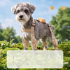 Dog One-Piece Walking Suit with Built-In Leg Covers