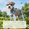 Dog One-Piece Walking Suit with Built-In Leg Covers