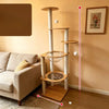 Multi-Level Solid Wood Cat Tree with Scratching Post