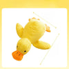 Plush Squeaky Dog Toys
