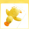 Plush Squeaky Dog Toys