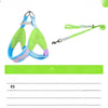 Y-Front Vest Dog Harness with Leash