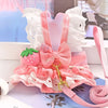 Small Dog Dress with Leash