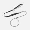 All-in-One Dog Collar and Leash
